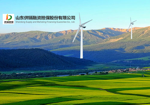 山東供銷融資擔(dān)保股份有限公司